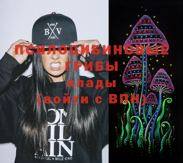 таблы Карпинск
